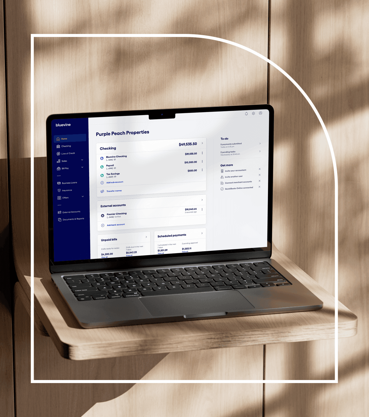 Computer screen showing a Bluevine checking account