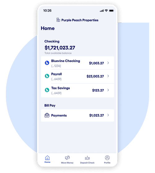 Bluevine Subaccounts Control Finances