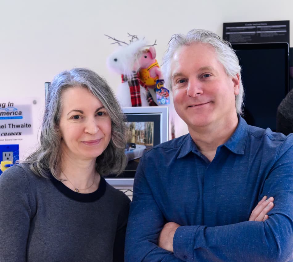 Bluevine company logo