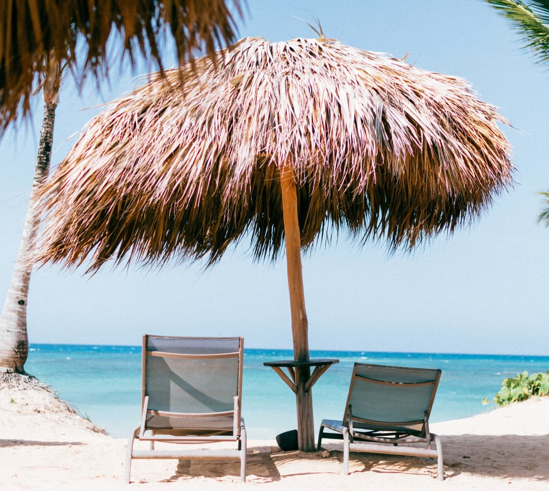 Bluevine company logo